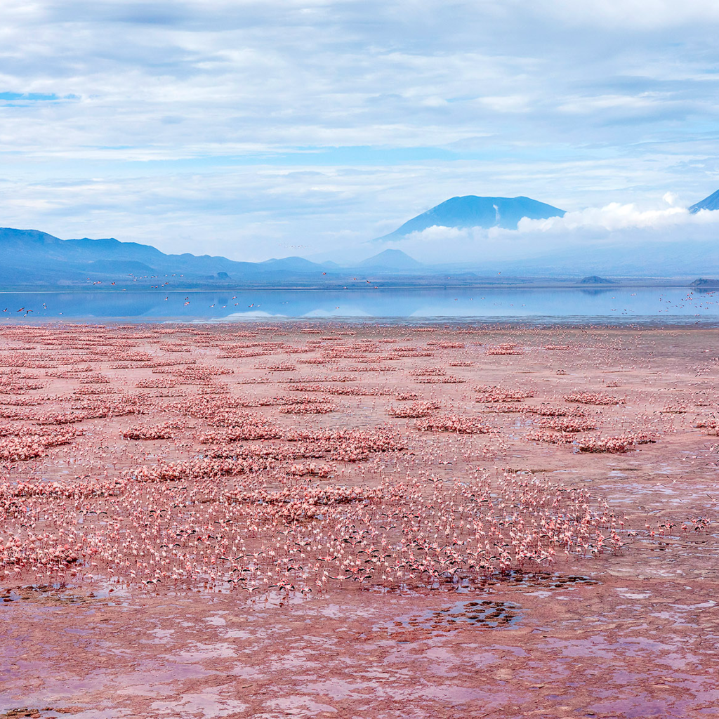 Lake Natron — Tanzania safari, Extenterra Safari's