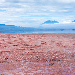 Lake Natron