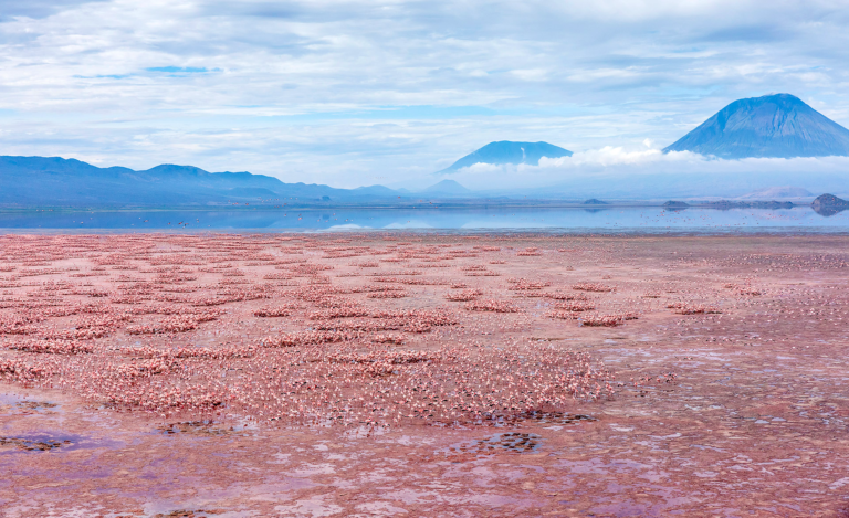 Lake Natron — Tanzania safari, Extenterra Safari's