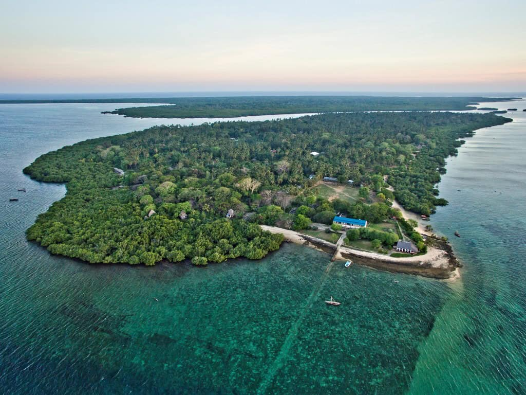 Mafia Island Tanzania I Safari & Beach Escape — Tanzania safari, Extenterra Safari's