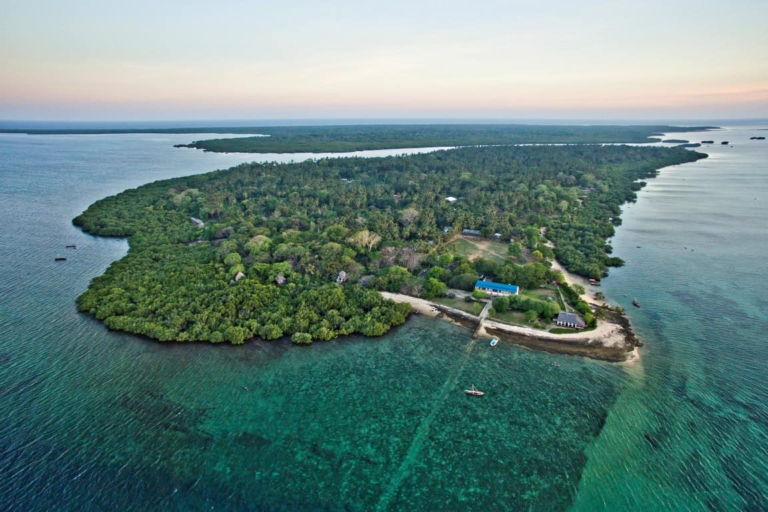Mafia Island Tanzania I Safari & Beach Escape — Tanzania safari, Extenterra Safari's