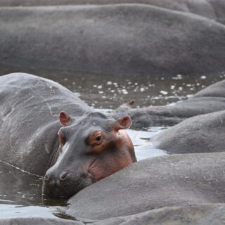 Lake Manyara National Park