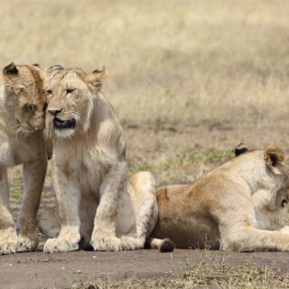 Arusha National Park